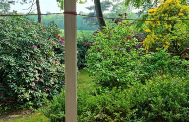 Waldhaus Dötlingen Ferienhaus im Naturpark - Foto 5