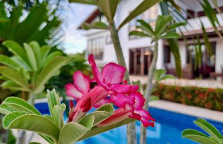 Villa Caju Knots - Photo 19