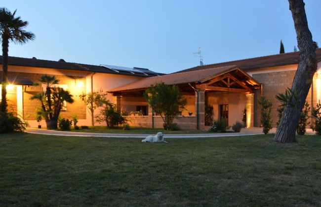 Fattoria Lucciano - Foto 58