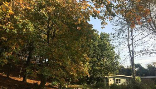 The Artists Studio - Foto 5