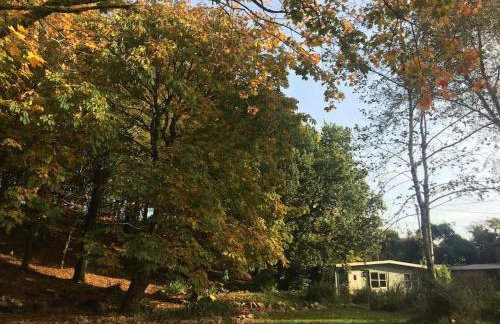 The Artists Studio - Foto 5