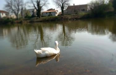 Bright & Cozy Medulin apartments - Foto 60