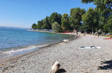 Malvelyns am Bodensee - Foto 14