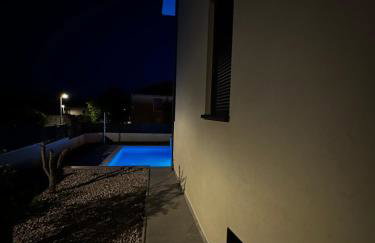 Palm Blues - Photo 29