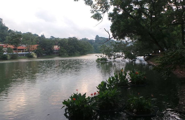 Luxury Villa Costanza - Photo 28