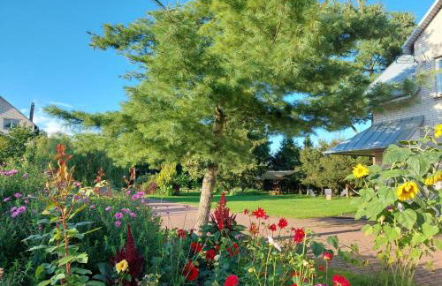 Przystanek Trześcianka - Foto 24