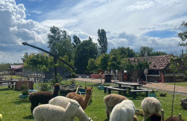 Kuća za odmor Raguž - Foto 62