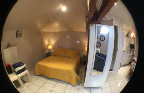 Eguisheim village préféré des français grand studio - Foto 28