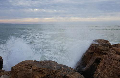 Appartement vue sur golf - Foto 52