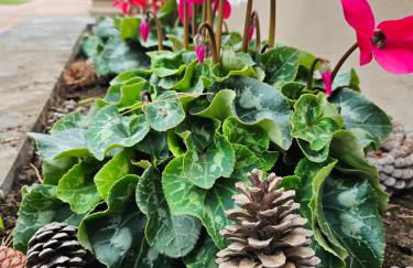 ETNAGLOW Luxory Sicilian Villa - Foto 6