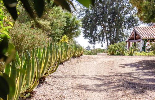 Casa Oleandra - Foto 30