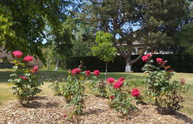 Gîte Au Bord de la Baie de Somme - Foto 25