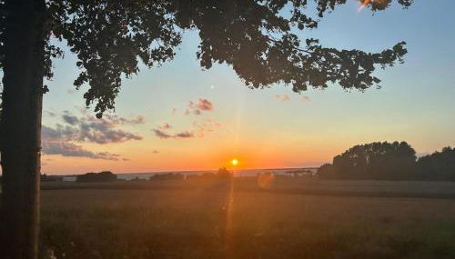 Ferienhaus Traumhafft - Foto 5