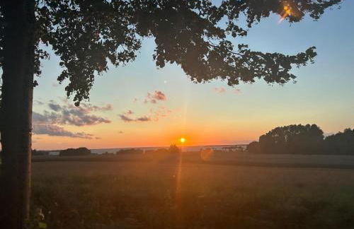 Ferienhaus Traumhafft - Foto 5