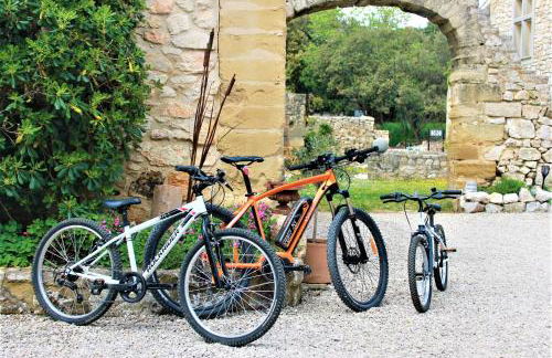 Monet - Mas de Rey - Photo 22