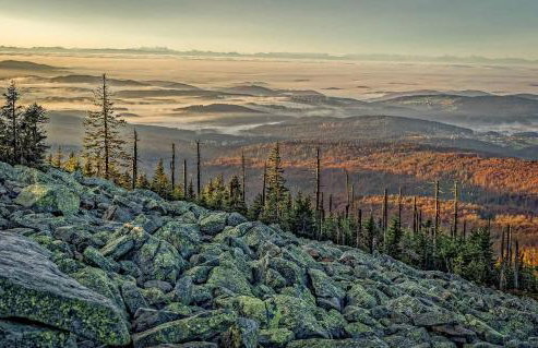 Ferienwohnung im Landhaus am Nationalpark - Foto 34