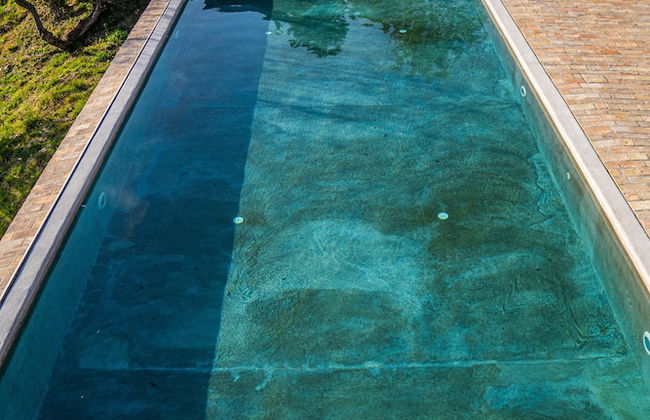 Terra di Gradara - Foto 54