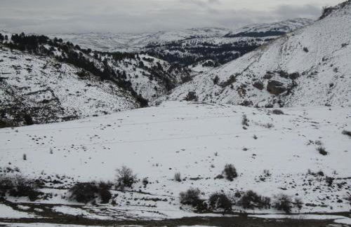 Refugio del Segura - Foto 26