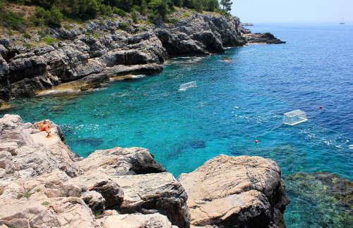 Apartments with a parking space Popovici, Dubrovnik - 8694 - Foto 25