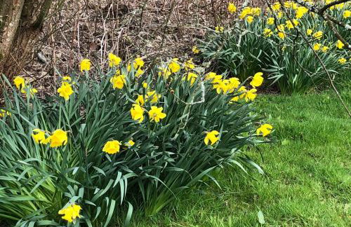 Danygraig Cottage - Foto 3