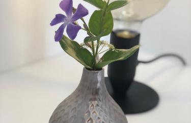 EllaVis Apartments - Photo 40