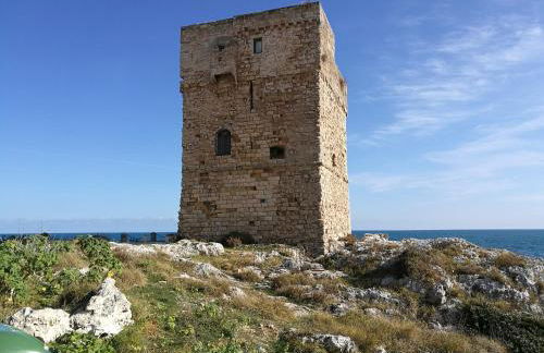 Sant'Andrea - Foto 24