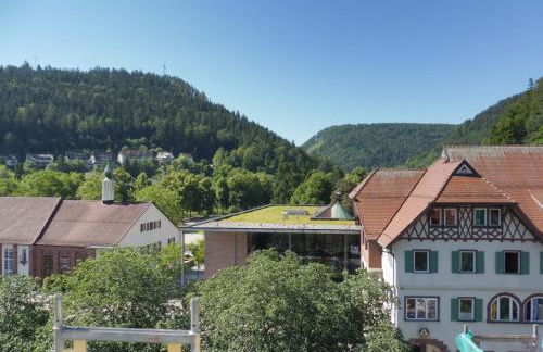 WOLKENFREI - ankommen und Zuhause fühlen - Apart-VL - Foto 56