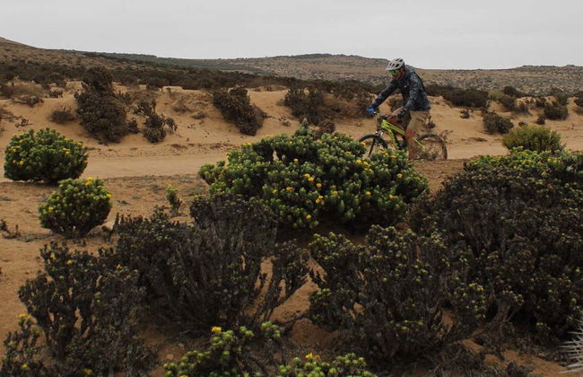 Limarí River Wetlands Bike Tour - Photo 1