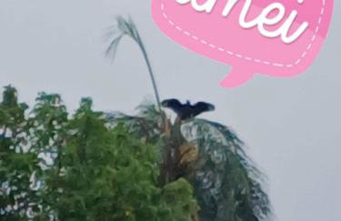 Casa Amarela Ecoloft Brasil 88 - Foto 42