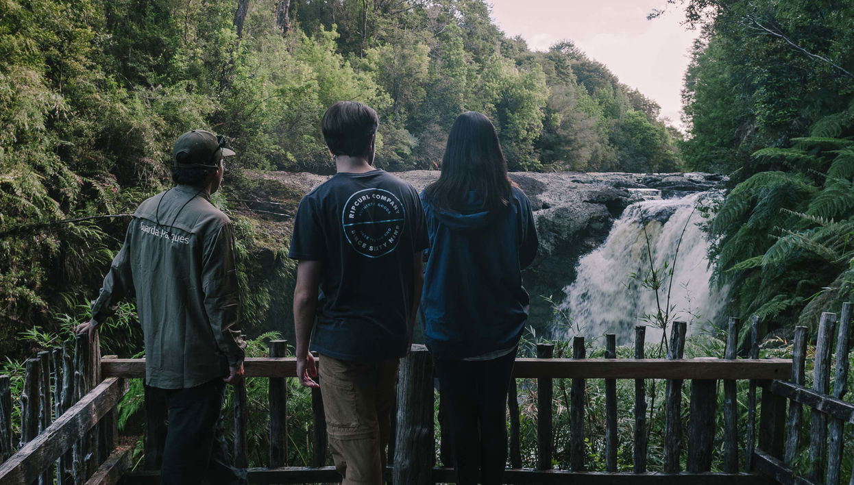 Excursión al Parque Tepuhueico
