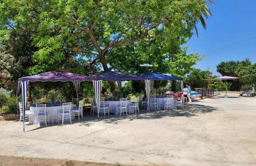 Cortijo Don Simón - Foto 6