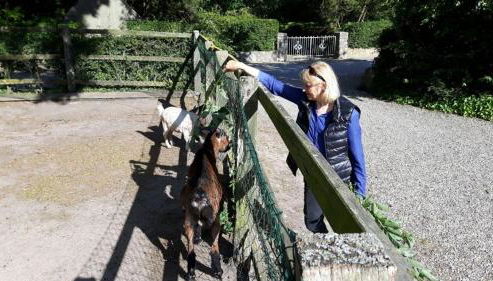 Ferienhaus-fuer-die-Grossfamilie-oder-Gruppenhaus-auf-dem-Ferien-und-Bauernhof-Nielson-in-Inselmitte - Foto 4