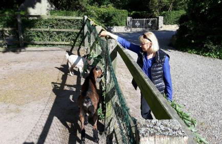 Ferienhaus-fuer-die-Grossfamilie-oder-Gruppenhaus-auf-dem-Ferien-und-Bauernhof-Nielson-in-Inselmitte - Foto 4