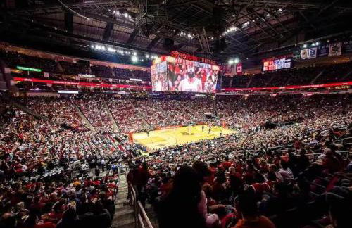 Texan Backyard Vibes l Cowboy Pool & BBQ l Pet-Friendly - Foto 13