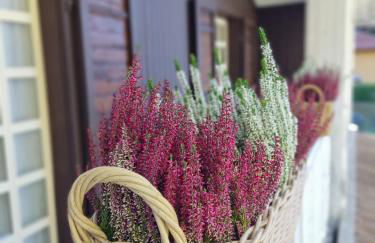 Chalet del Lago Laceno - Foto 71