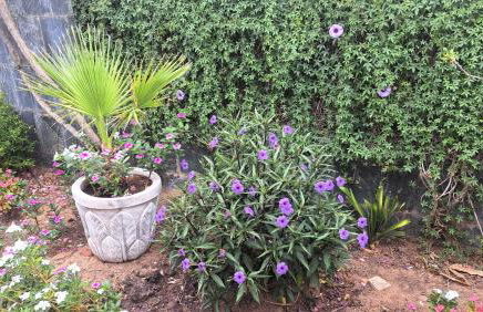 Sevilla, Casa Rural Villa Amalia - Photo 20