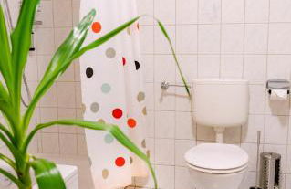 Ferienwohnung am Ilztal - Foto 21