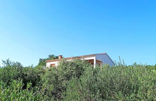 Olive garden Platinum, Posedarje - Photo 62