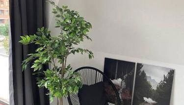 meine OldenBurg - wohlfühlen wie zu Hause. - Photo 5