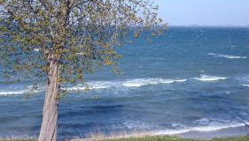 Strandappartement Steinberghaff "zur Birk" mit Meerblick - Photo 4