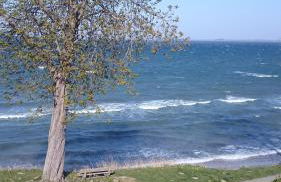 Strandappartement Steinberghaff "zur Birk" mit Meerblick - Foto 4