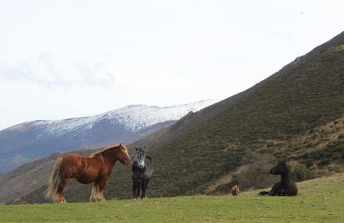 Apartamentos San Antonio de Garabandal - Foto 31