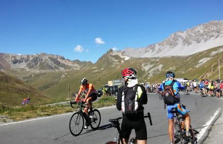 Casa Zebrusius - Zebrusius's App - Foto 50