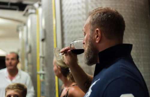 Agriturismo Streda Wine & Country Holiday - Foto 88