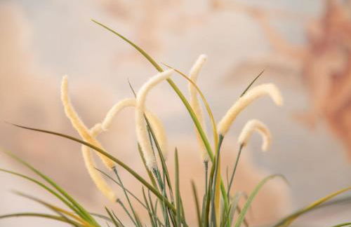 Résidence Villa Smeralda - Foto 65