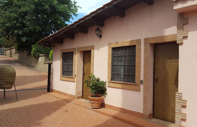 Azienda Agricola Sinisi - Foto 31