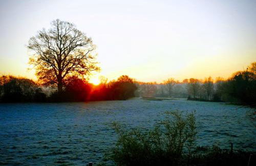 The Old Chapel - Photo 17
