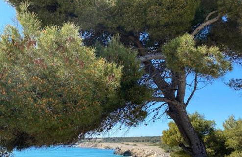 Les Bruyères - Foto 13