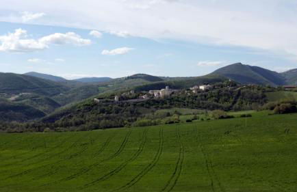 Agriturismo I CASALI DI MORRO - Foto 11