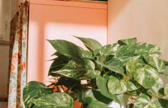 Punta Penna Seahouse - Foto 66